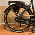16: Gazelle CityGo C7