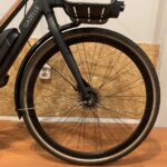 16: Gazelle CityGo C7