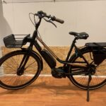 16: Gazelle CityGo C7