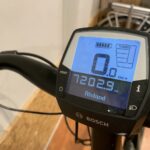04: Batavus Finez E-go Power