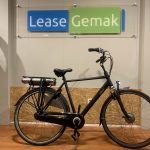 43: Batavus Wayz E-Go