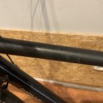 43: Batavus Wayz E-Go