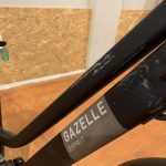55: Gazelle Esprit