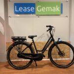 66: Batavus Dinsdag E-Go