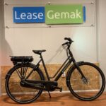 21: Batavus Fonk E-Go