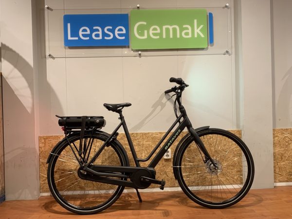 21: Batavus Fonk E-Go