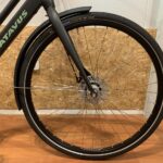 21: Batavus Fonk E-Go