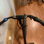 21: Batavus Fonk E-Go