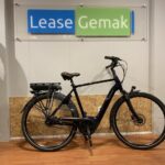 49: Batavus Finez E-Go