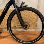 49: Batavus Finez E-Go