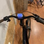 49: Batavus Finez E-Go