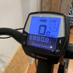 49: Batavus Finez E-Go