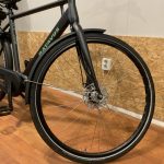 15: Batavus Fonk E-go