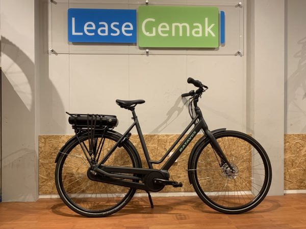 10: Batavus Fonk E-go