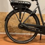 10: Batavus Fonk E-go