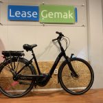 43: Batavus Finez E-Go