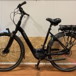 43: Batavus Finez E-Go