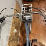 51: Gazelle Puur NL C7
