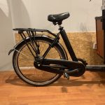 72: Bakfiets Cargo Trike