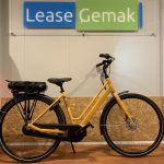 86: Batavus Fonk E-go