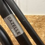 77: Gazelle Esprit