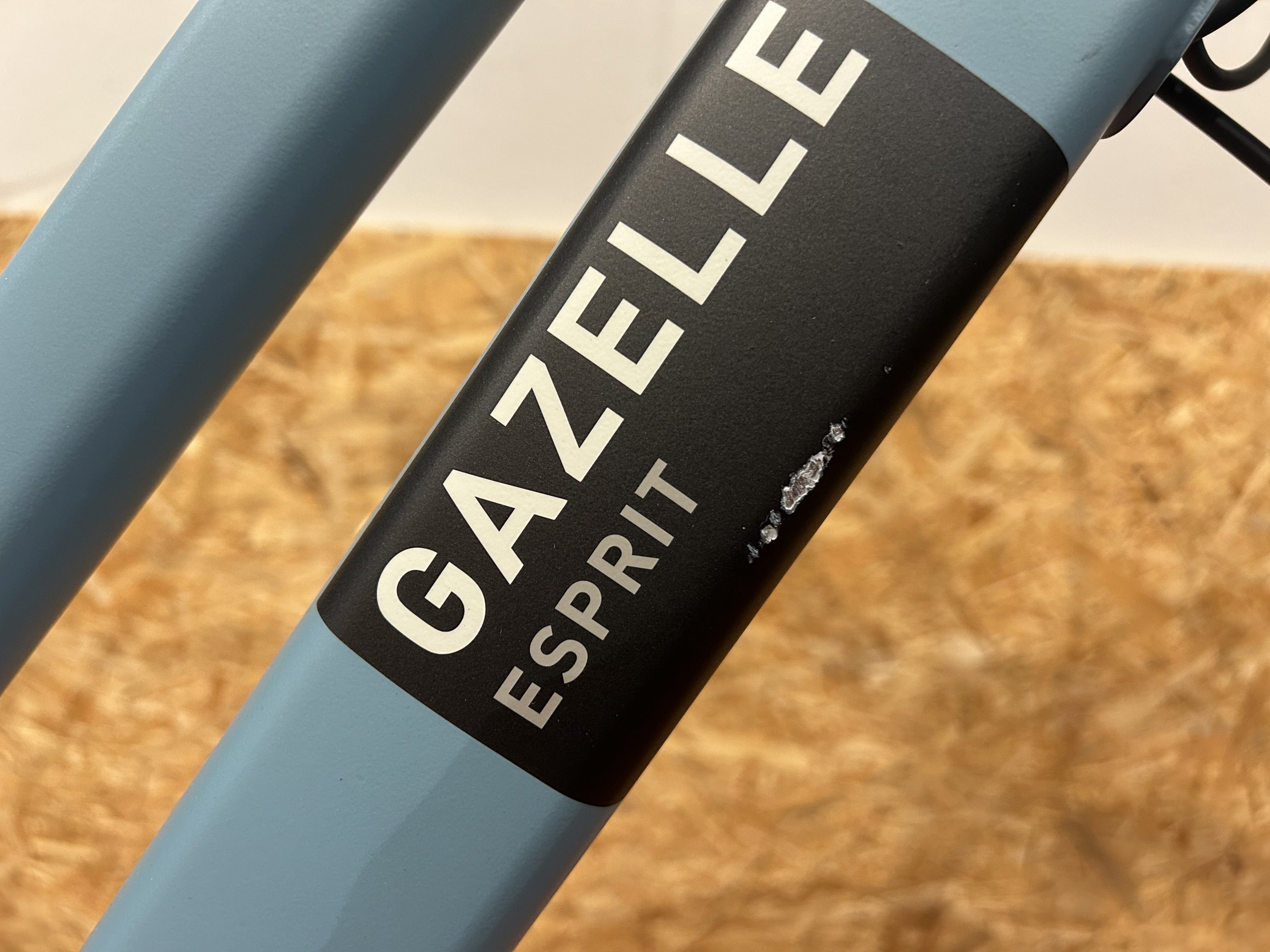 87: Gazelle esprit