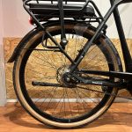 60: Pegasus Siena Belt