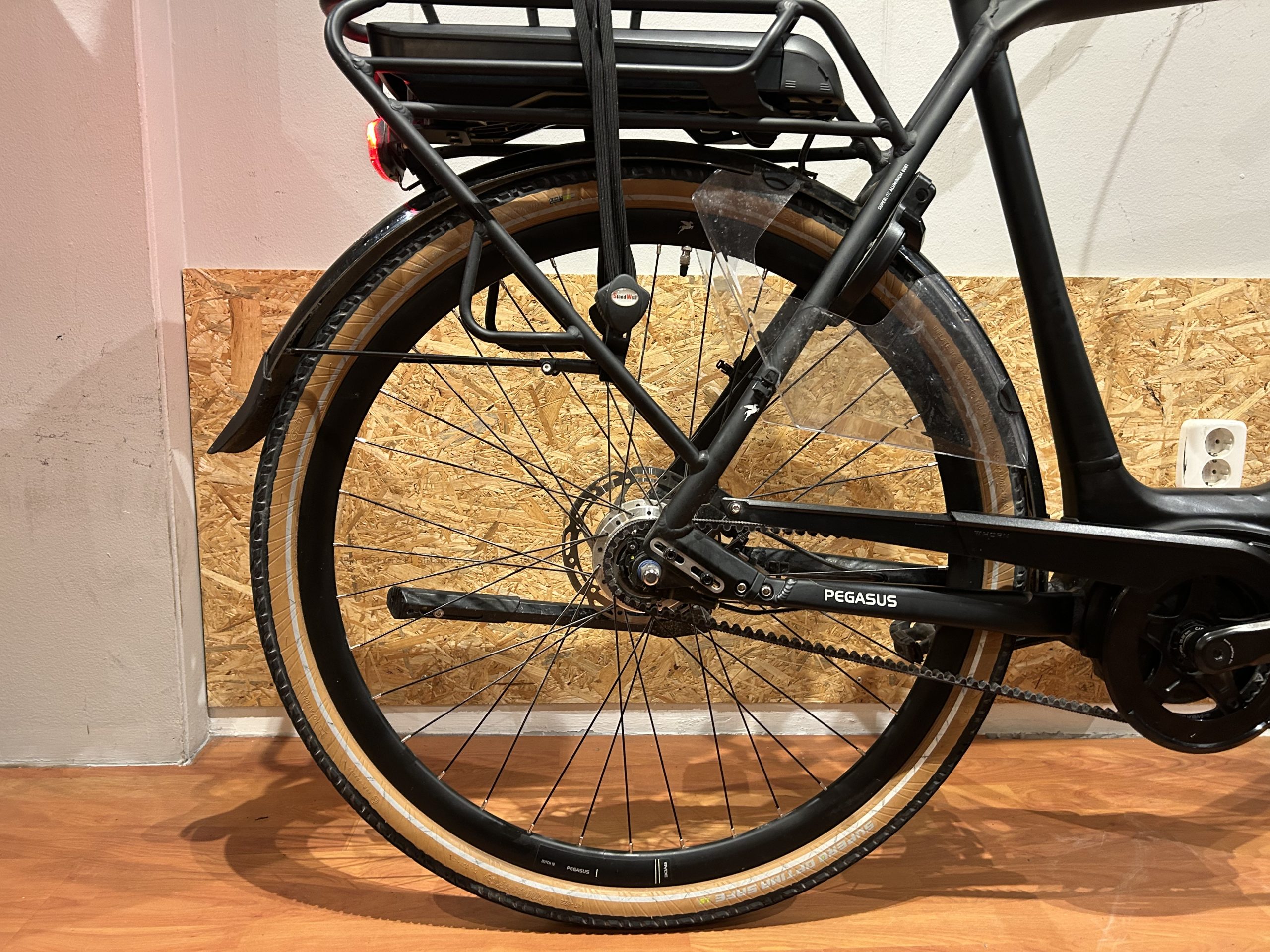 60: Pegasus Siena Belt