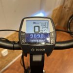 60: Pegasus Siena Belt