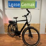 60: Pegasus Siena Belt