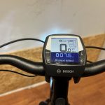 104: Batavus Finez E-go
