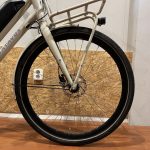 31: Batavus Quip