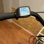 31: Batavus Quip