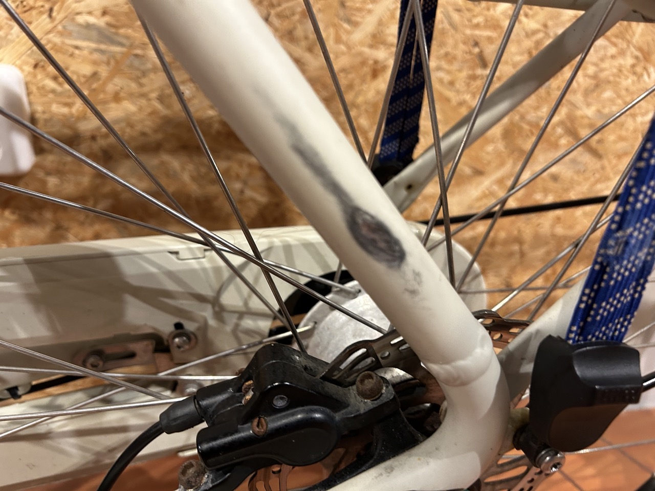 31: Batavus Quip