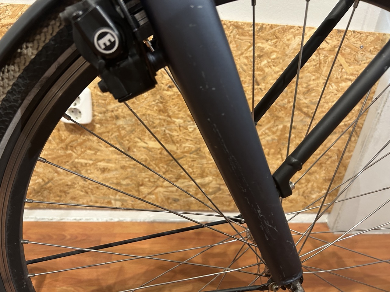 118: Cortina E-common