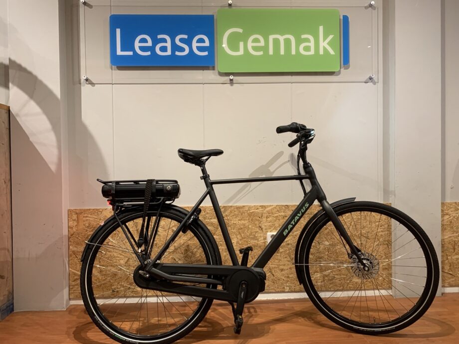 11: Batavus Fonk E-Go