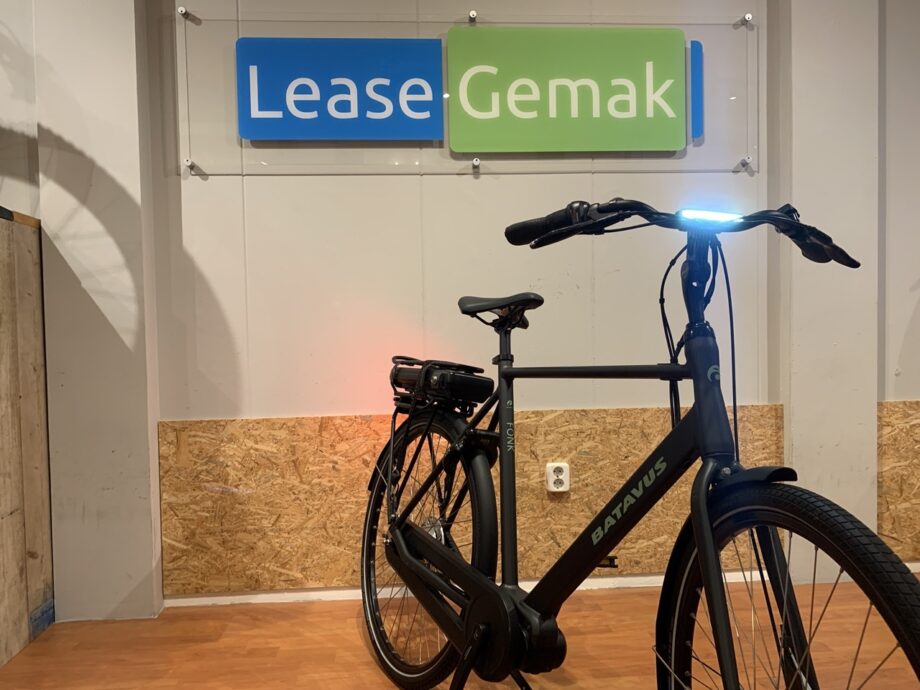 11: Batavus Fonk E-Go