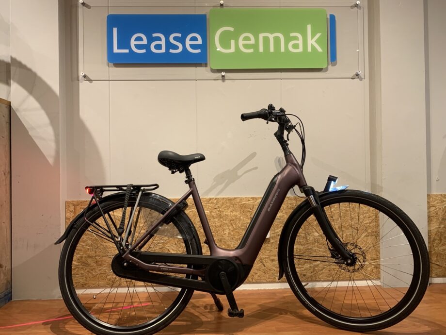 38: Batavus Finez E-Go Power