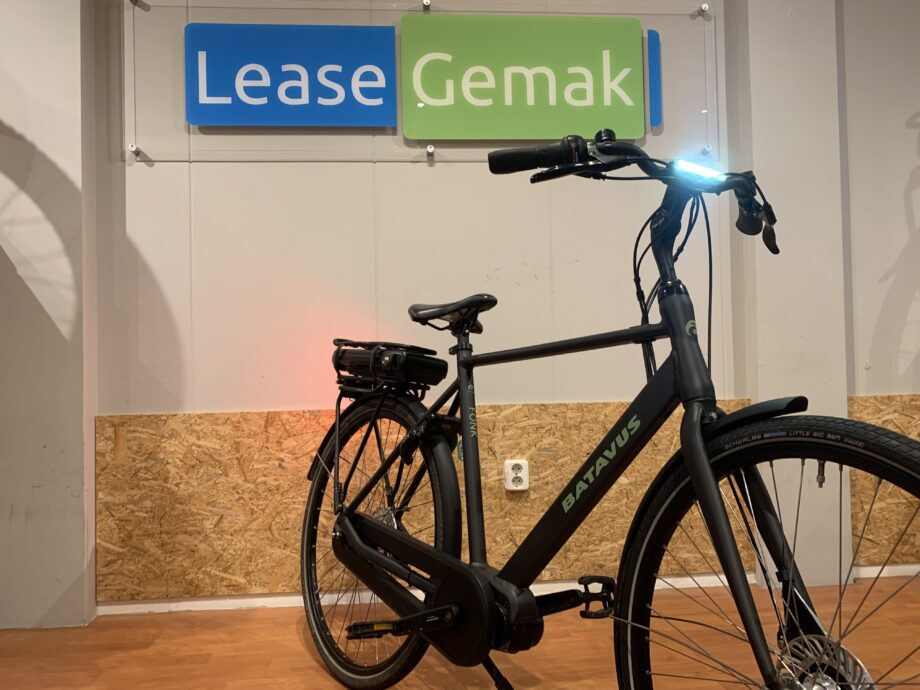 42: Batavus Fonk E-go plus