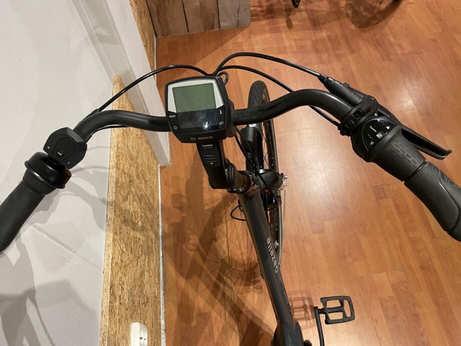 19: Gazelle Orange C7+ HMB