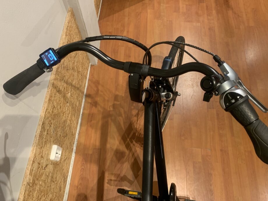 43: Batavus Wayz E-Go