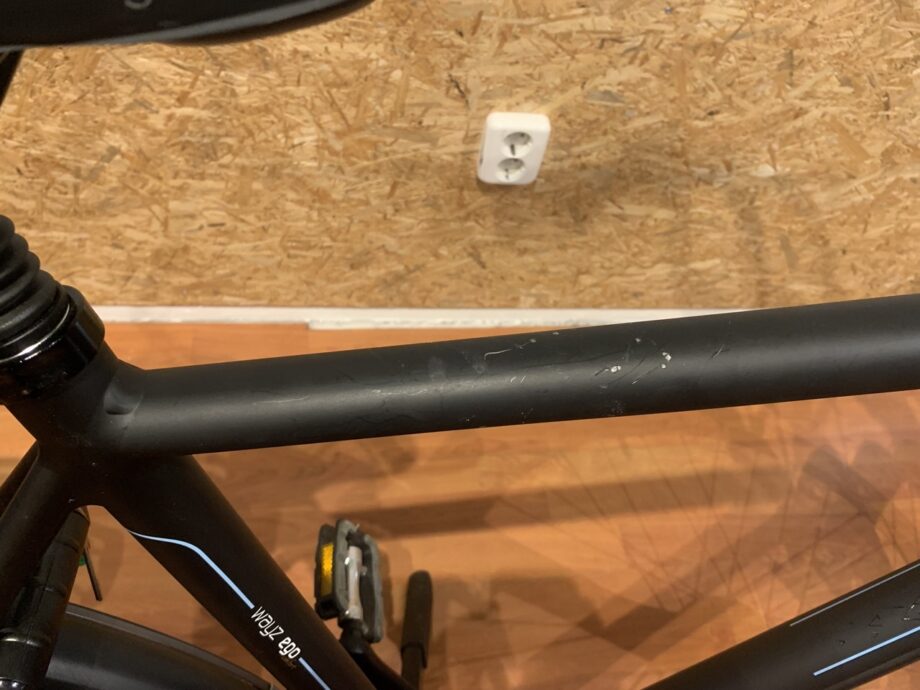 43: Batavus Wayz E-Go