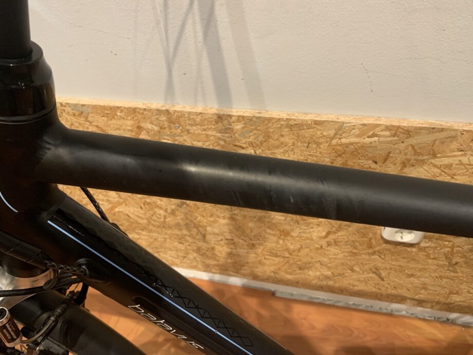 43: Batavus Wayz E-Go