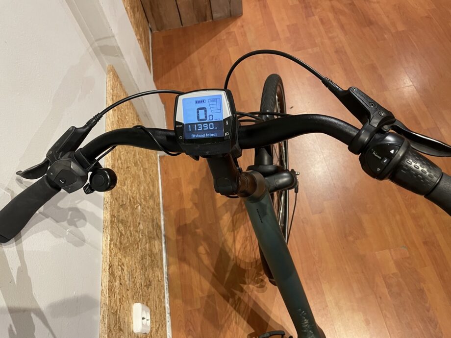 46: Batavus Fines E-Go Active Plus