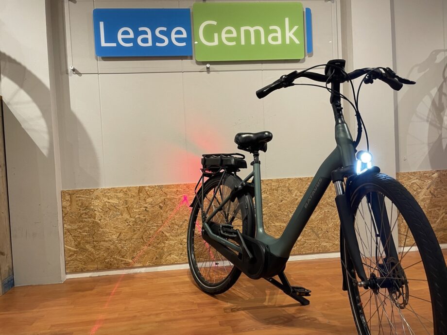 46: Batavus Fines E-Go Active Plus
