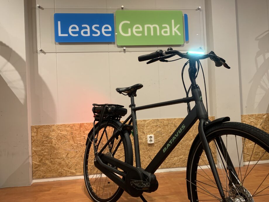 04: Batavus Fonk E-go Plus