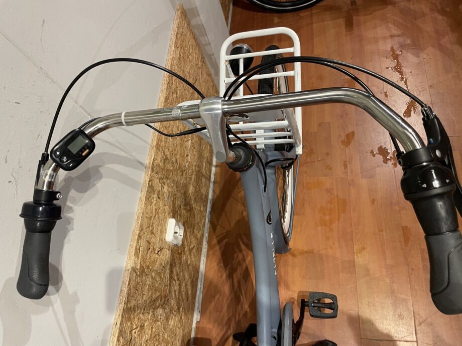 09: Gazelle Puur NL C7
