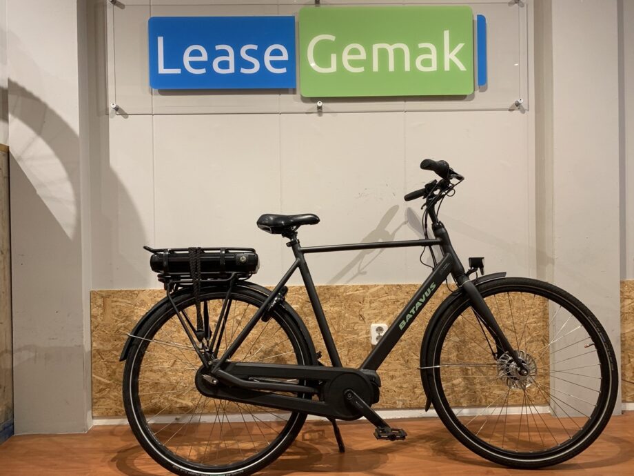 53: Batavus Fonk E-Go