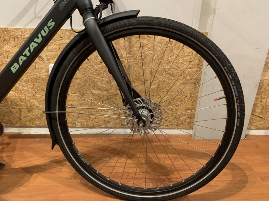 53: Batavus Fonk E-Go