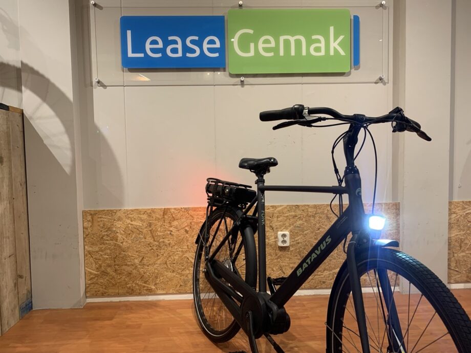 53: Batavus Fonk E-Go